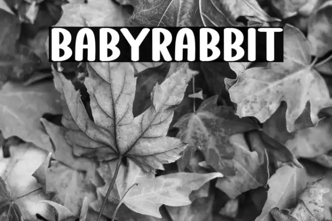 Baby Rabbit Example 2