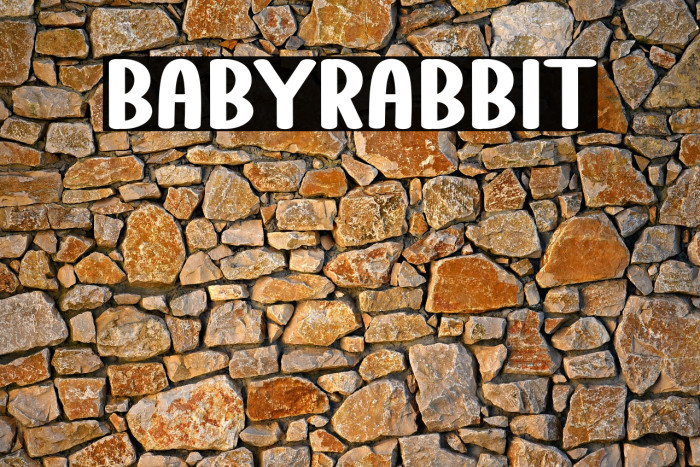 Baby Rabbit Example 3