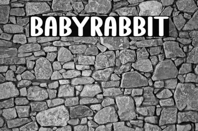 Baby Rabbit Example 3