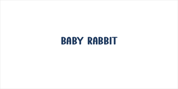 Baby Rabbit Logo