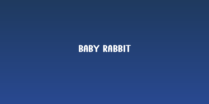 Baby Rabbit Social Header