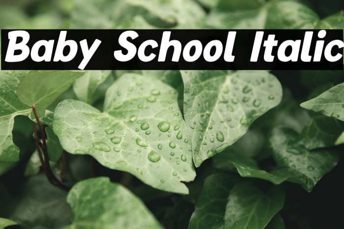 Baby School Italic Font examples