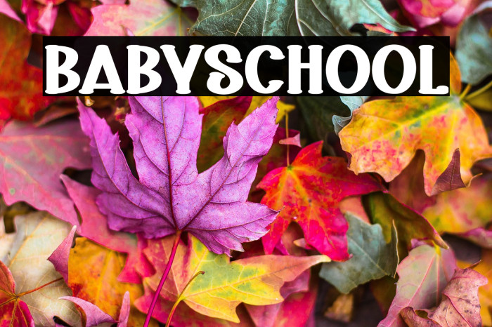 Baby School Example 2