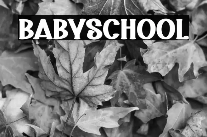 Baby School Example 2