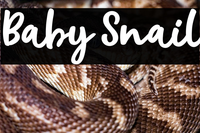 Baby Snail Example 1