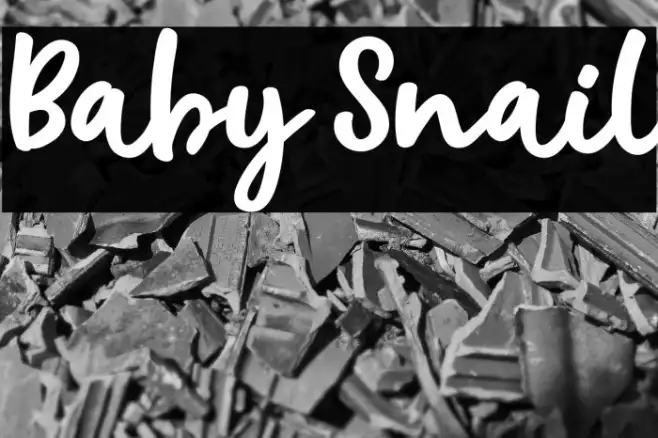 Baby Snail Example 3