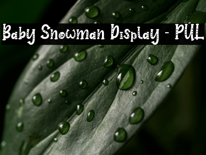 Baby Snowman Display - PUL Example 1