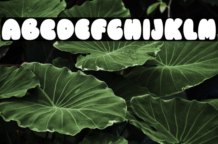 Baby Spooky Example 1