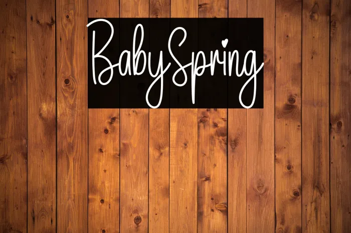 Baby Spring Example 1