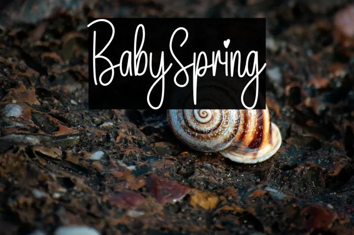 Baby Spring Example 2