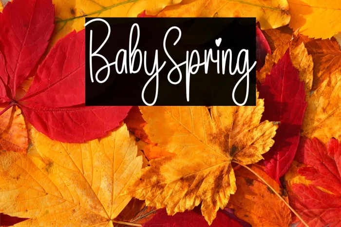 Baby Spring Example 3