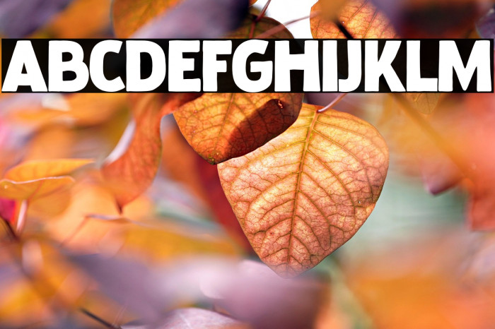 Baby Stingrays Example 2