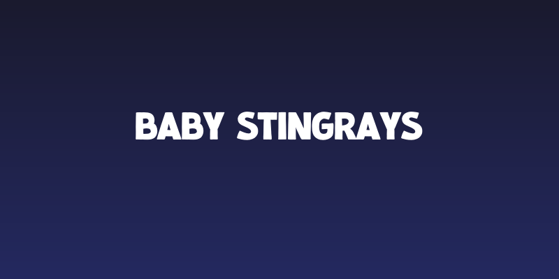 Baby Stingrays Social Header