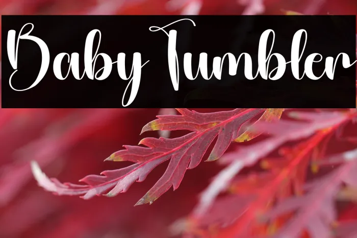 Baby Tumbler Example 3