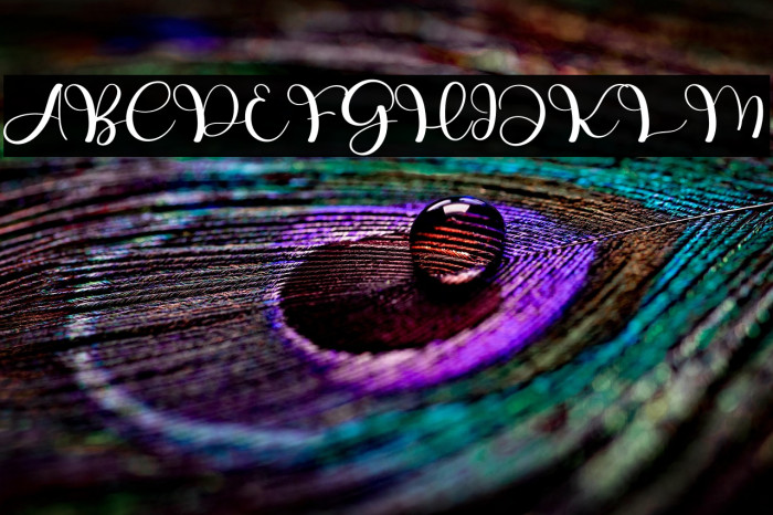 Baby Vintage Example 1