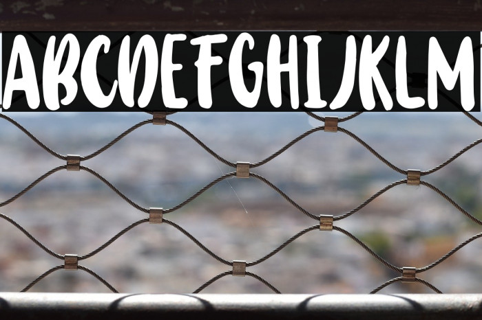 Baby Wildy Example 1