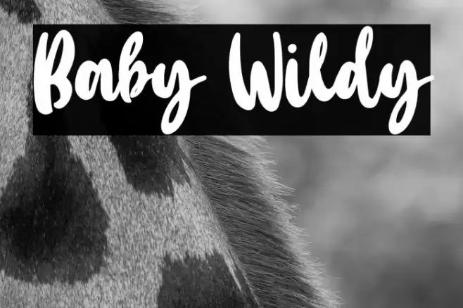 Baby Wildy Font examples