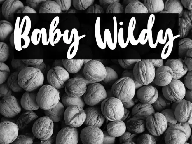 Baby Wildy Font examples