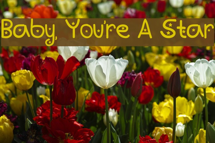 Baby, You're A Star Font examples