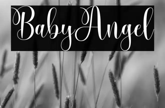 BabyAngel Font examples
