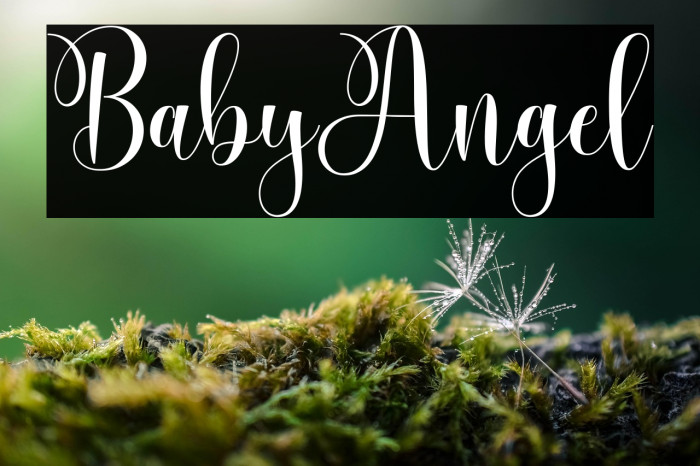 BabyAngel Example 3