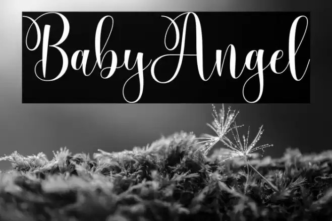 BabyAngel Font examples