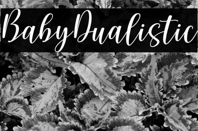 BabyDualistic Font examples