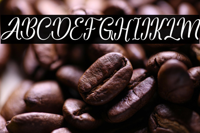 BabyGarland Example 1