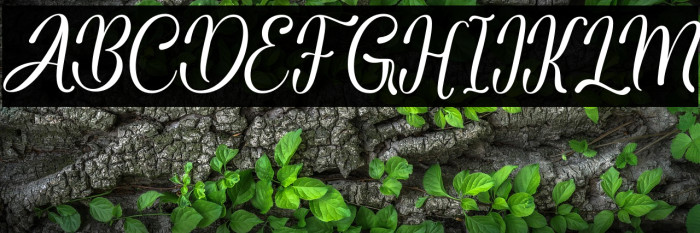 BabyGarland Example 2