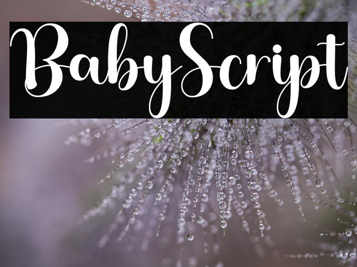 BabyScript Example 2