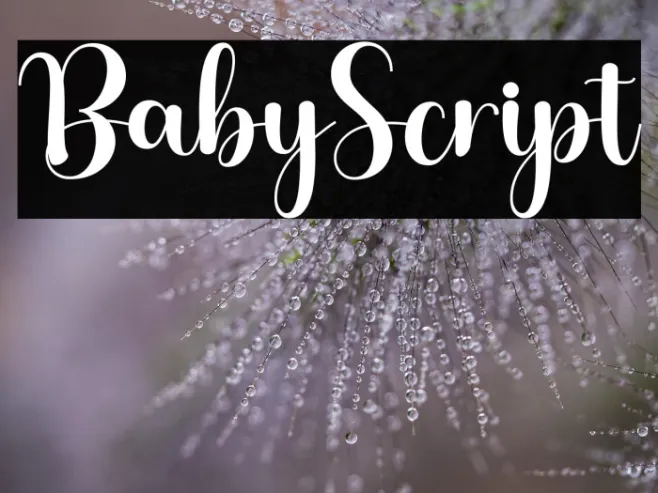 BabyScript Example 2