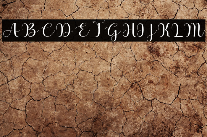 BabyShopia Example 1