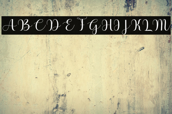 BabyShopia Example 2