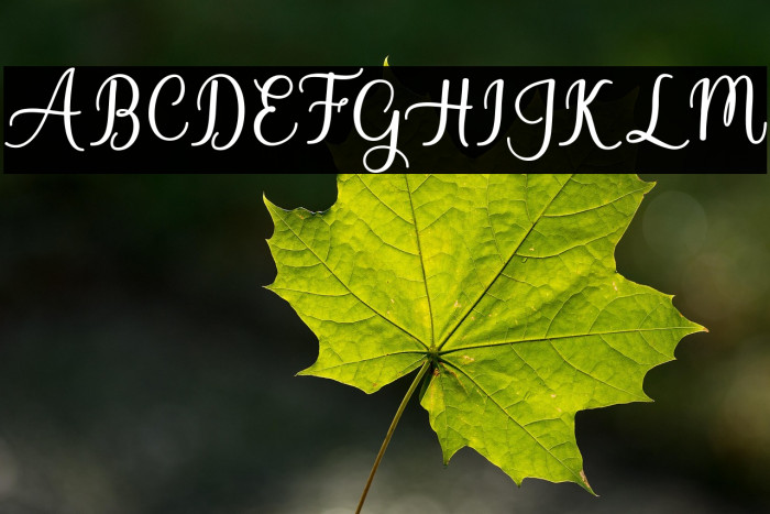 BabyValentina Example 2