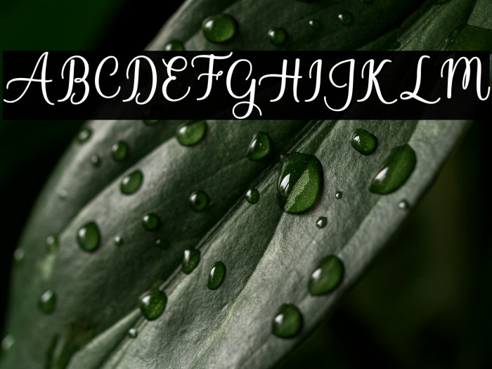 BabyValentina Example 2