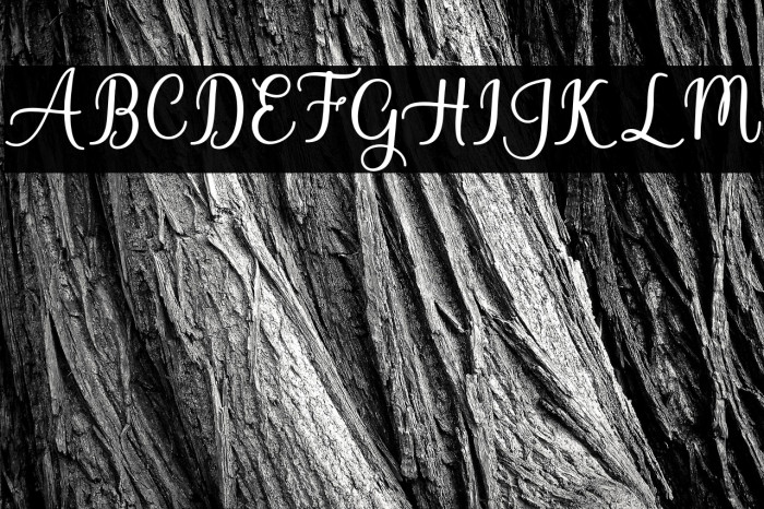 BabyValentina Example 3