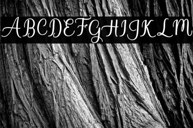 BabyValentina Font examples