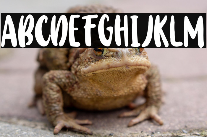 BabyWildyPersonalRegular Example 1