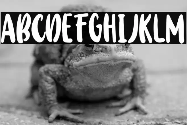 BabyWildyPersonalRegular Schriftart examples