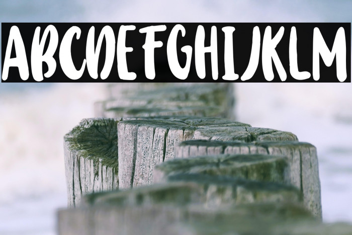 BabyWildyPersonalRegular Example 2