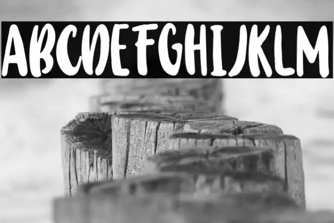 BabyWildyPersonalRegular Schriftart examples