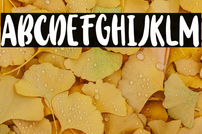 BabyWildyPersonalRegular Example 3