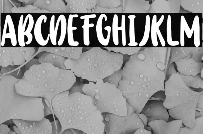 BabyWildyPersonalRegular Schriftart examples