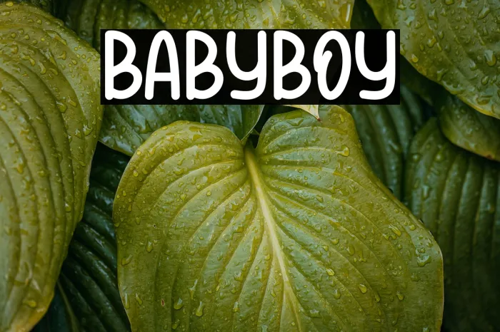 Babyboy Example 2