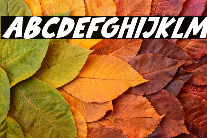 Babydoo Italic Example 3