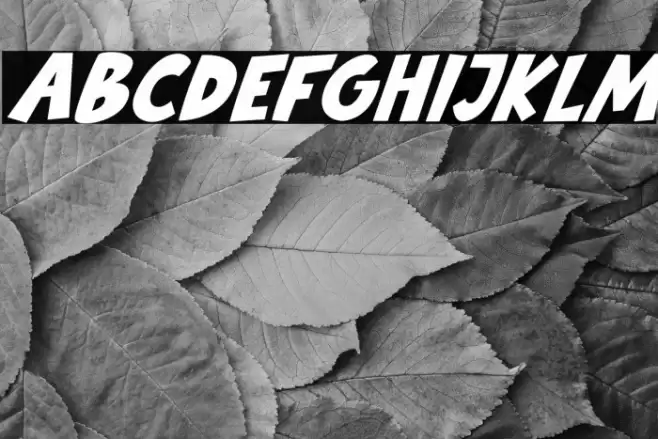 Babydoo Italic Font examples