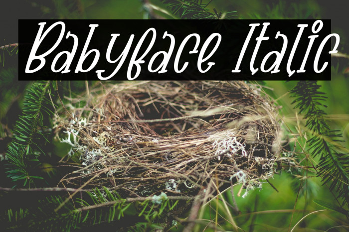 Babyface Italic Fuentes examples