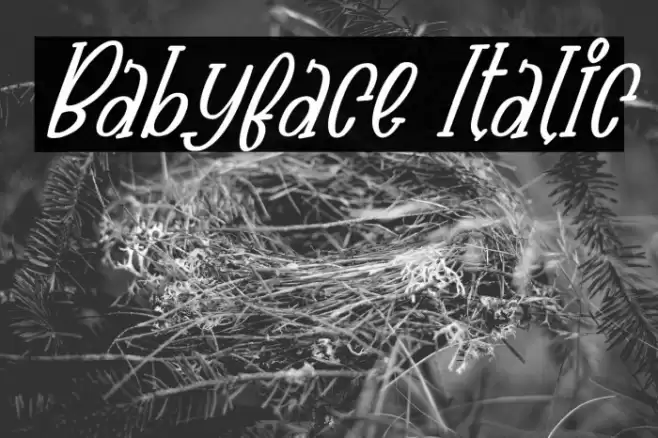 Babyface Italic Font examples