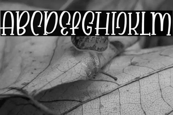 Babyface Font examples