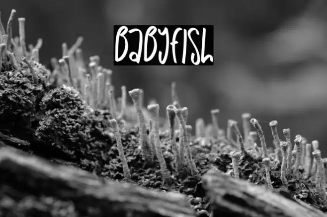 Babyfish Fuentes examples